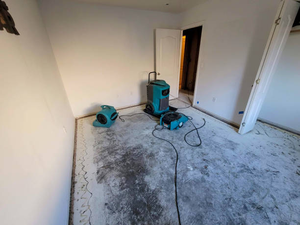Best Water damage restoration experts  in Clarksville, VA