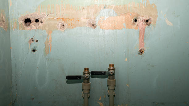 Best Professional water damage repair  in Clarksville, VA