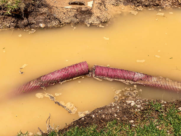 Best Carpet water damage restoration  in Clarksville, VA